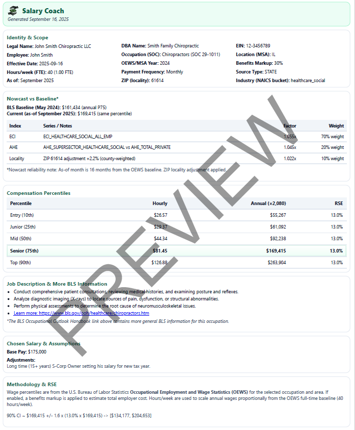 CPA / S-Corp memo export preview